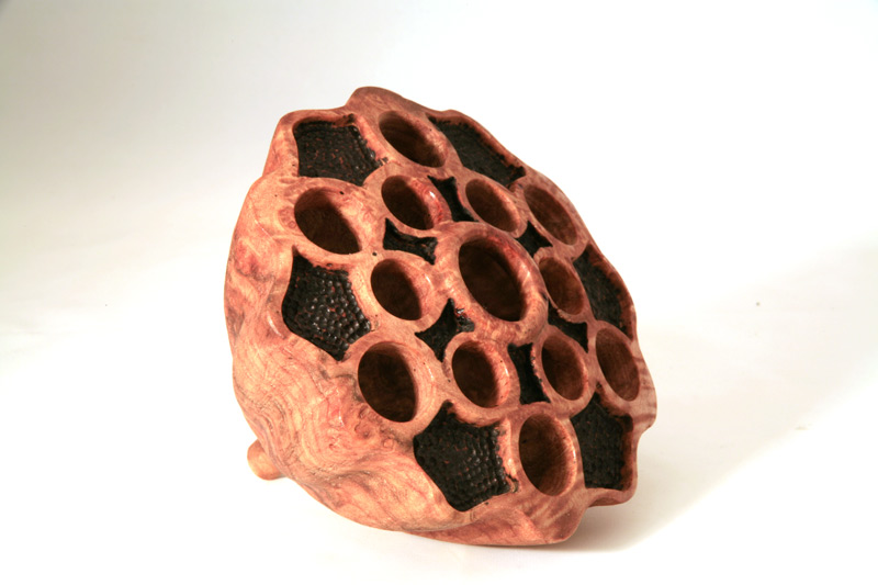 Lotus Seed Pod.