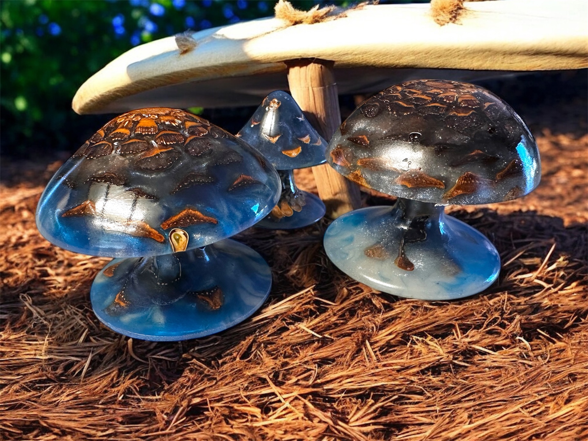 Magic mushrooms