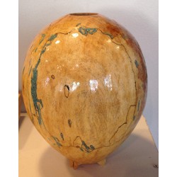 Magnolia hollow form