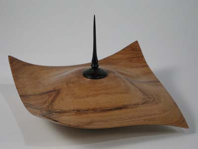 Manta Ray Box