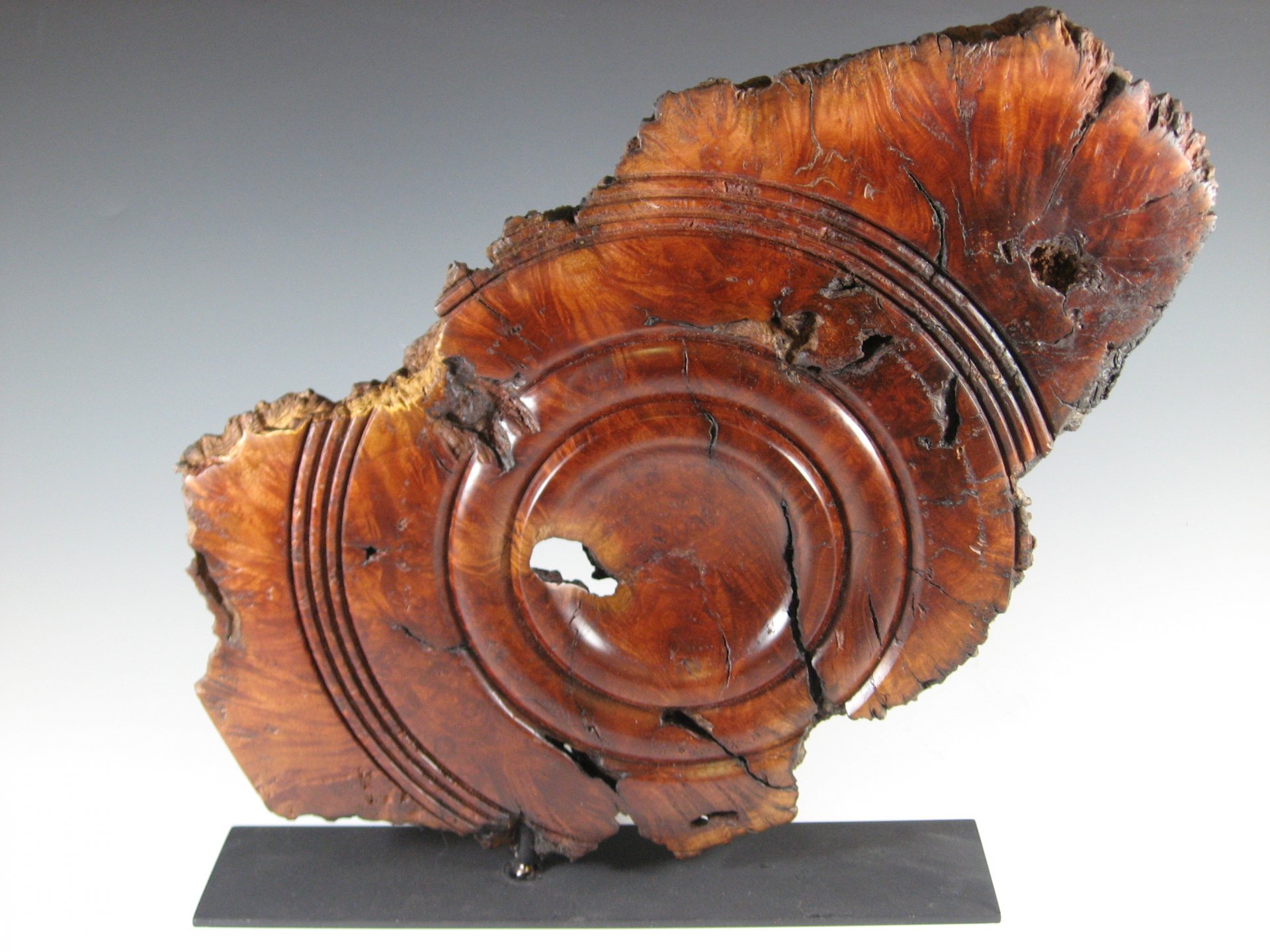 Manzanita Burl Display Piece