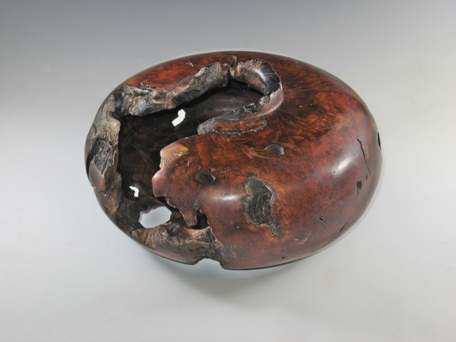 Manzanita Burl Hollow Form