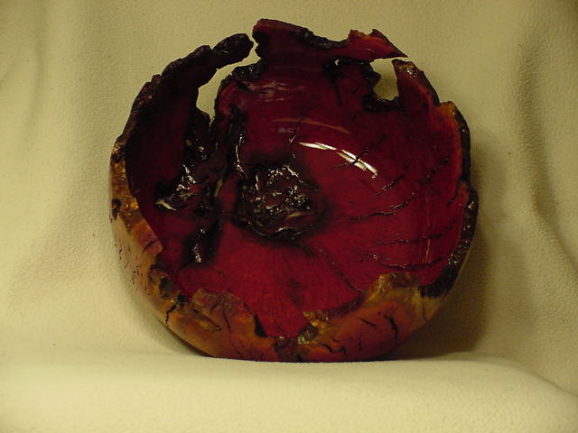 MANZANITA BURL PIC 2