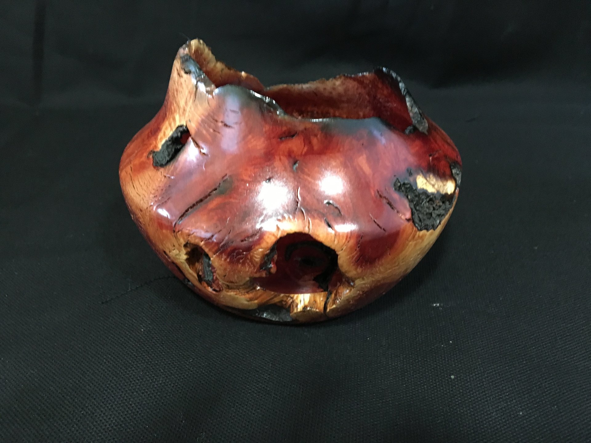 Manzanita burl