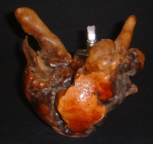 Manzanita Root Burl Oil Lamp