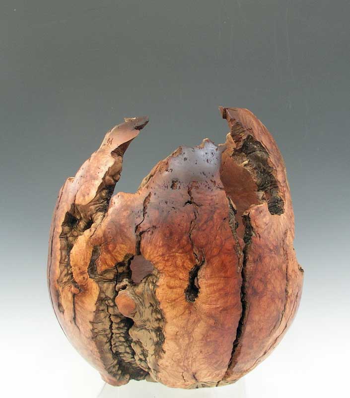 Manzanita Root Burl