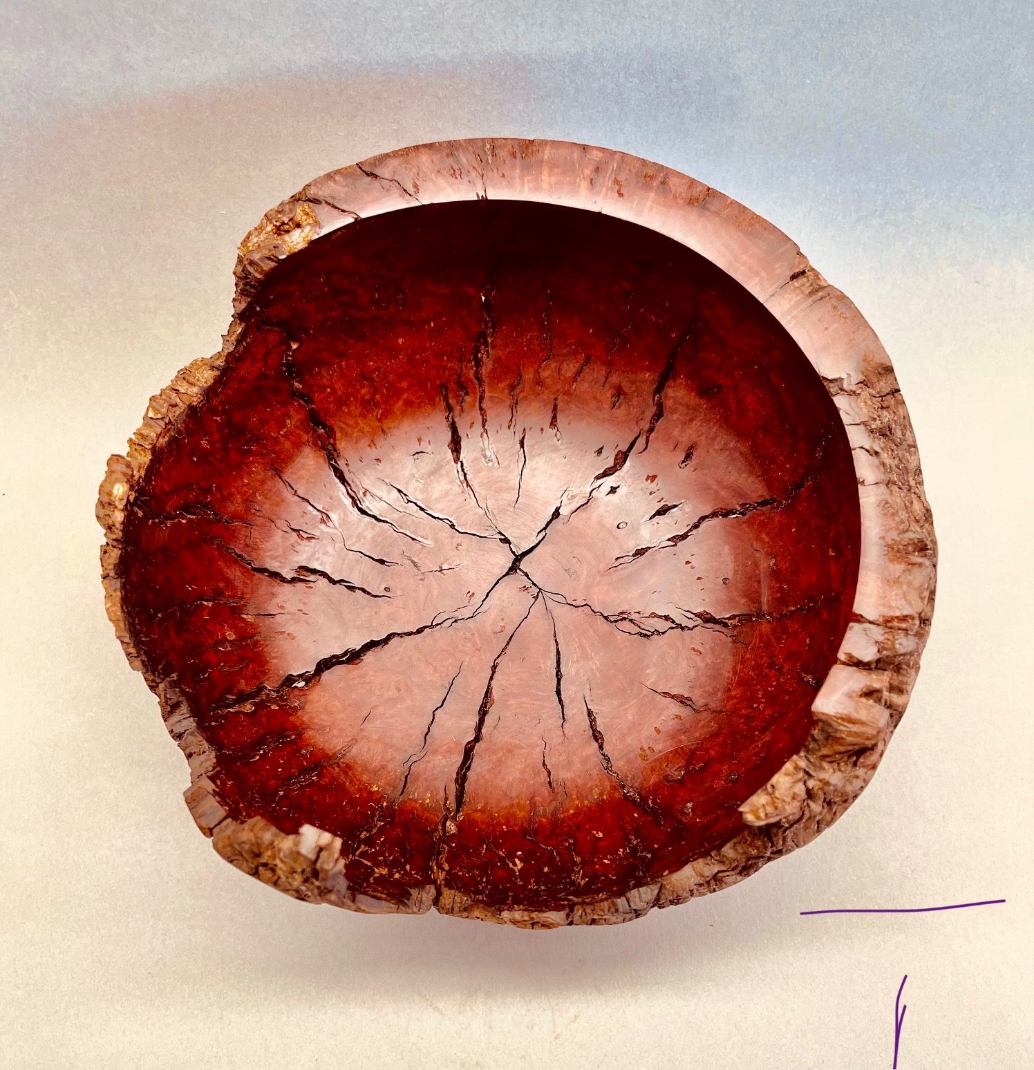 Manzanita