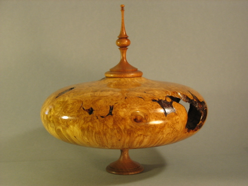 Maple Burl H/F