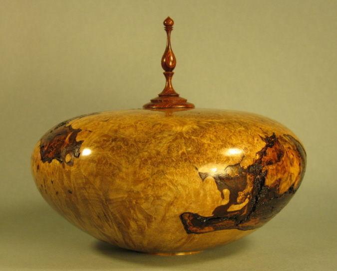 Maple burl H/F