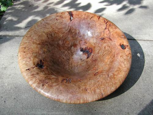 maple burl