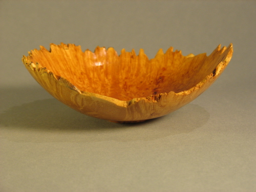 Maple Burl
