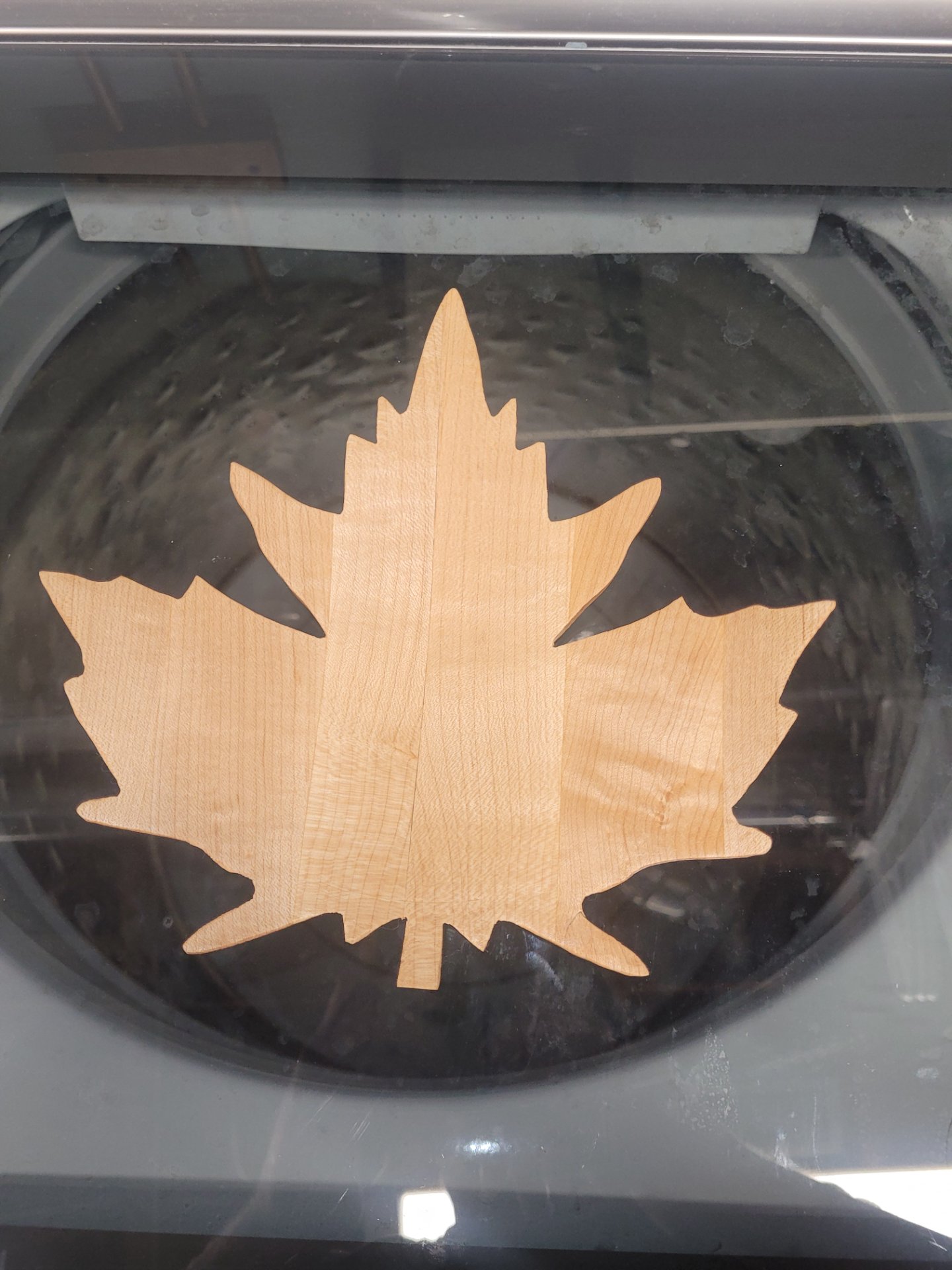 Maple. Maple Leaf