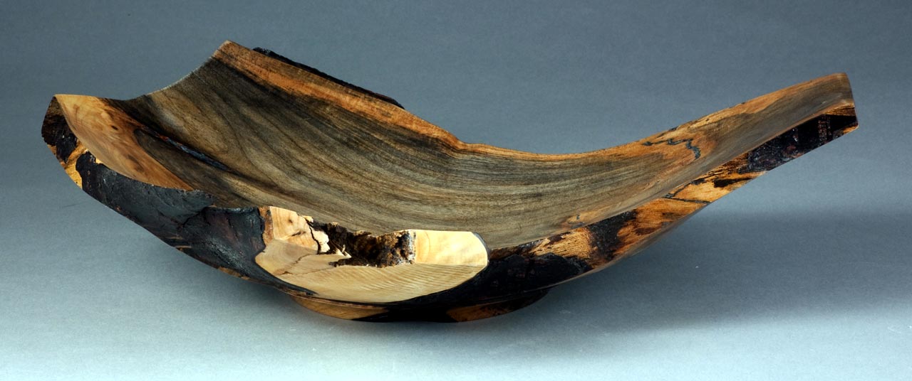 Maple Root (another view)