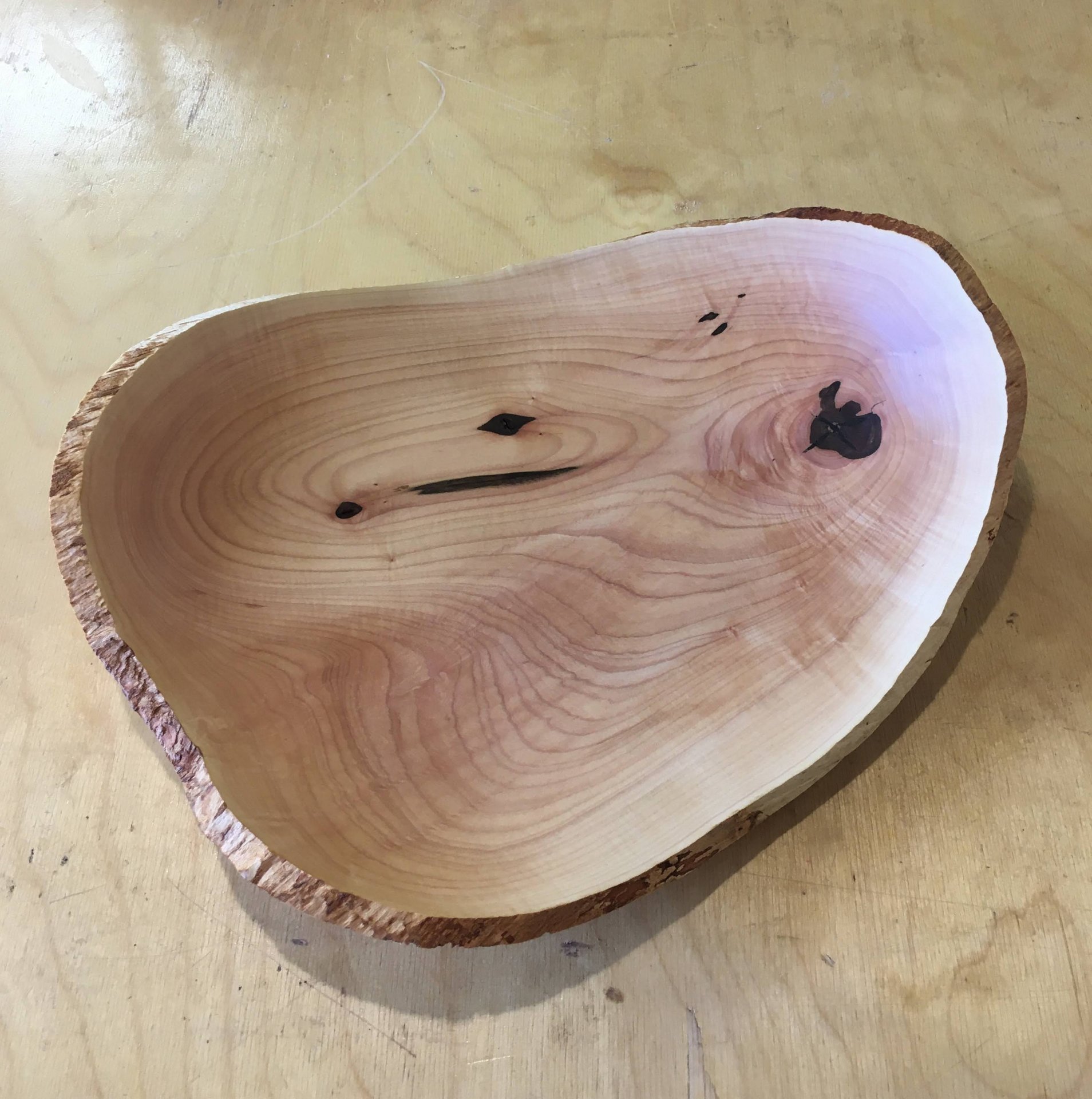 Maple Shallow Bowl / Platter