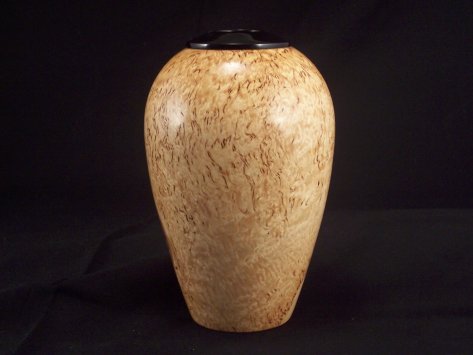 Masur Birch Hollow form