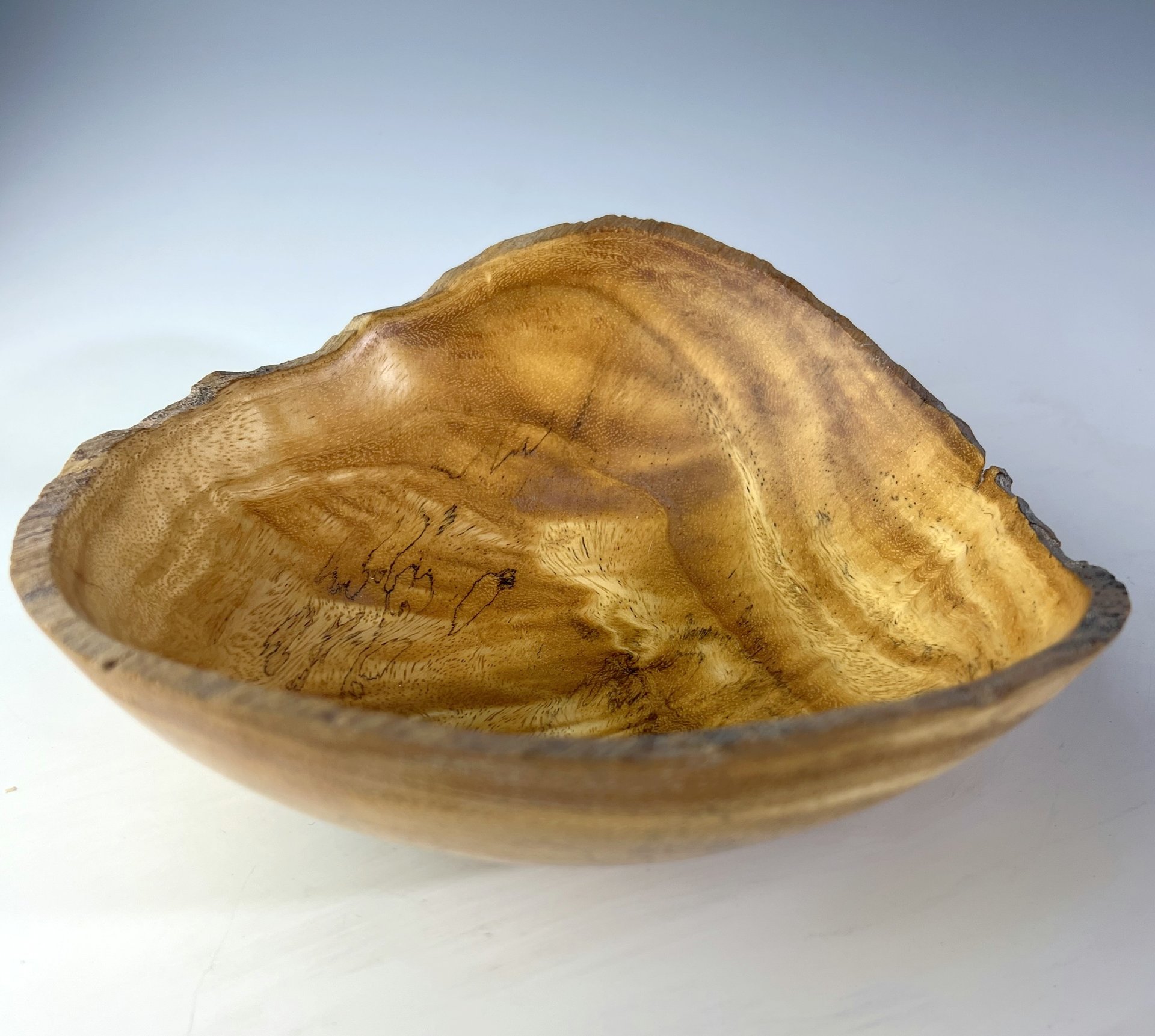 Maui Monkey Pod