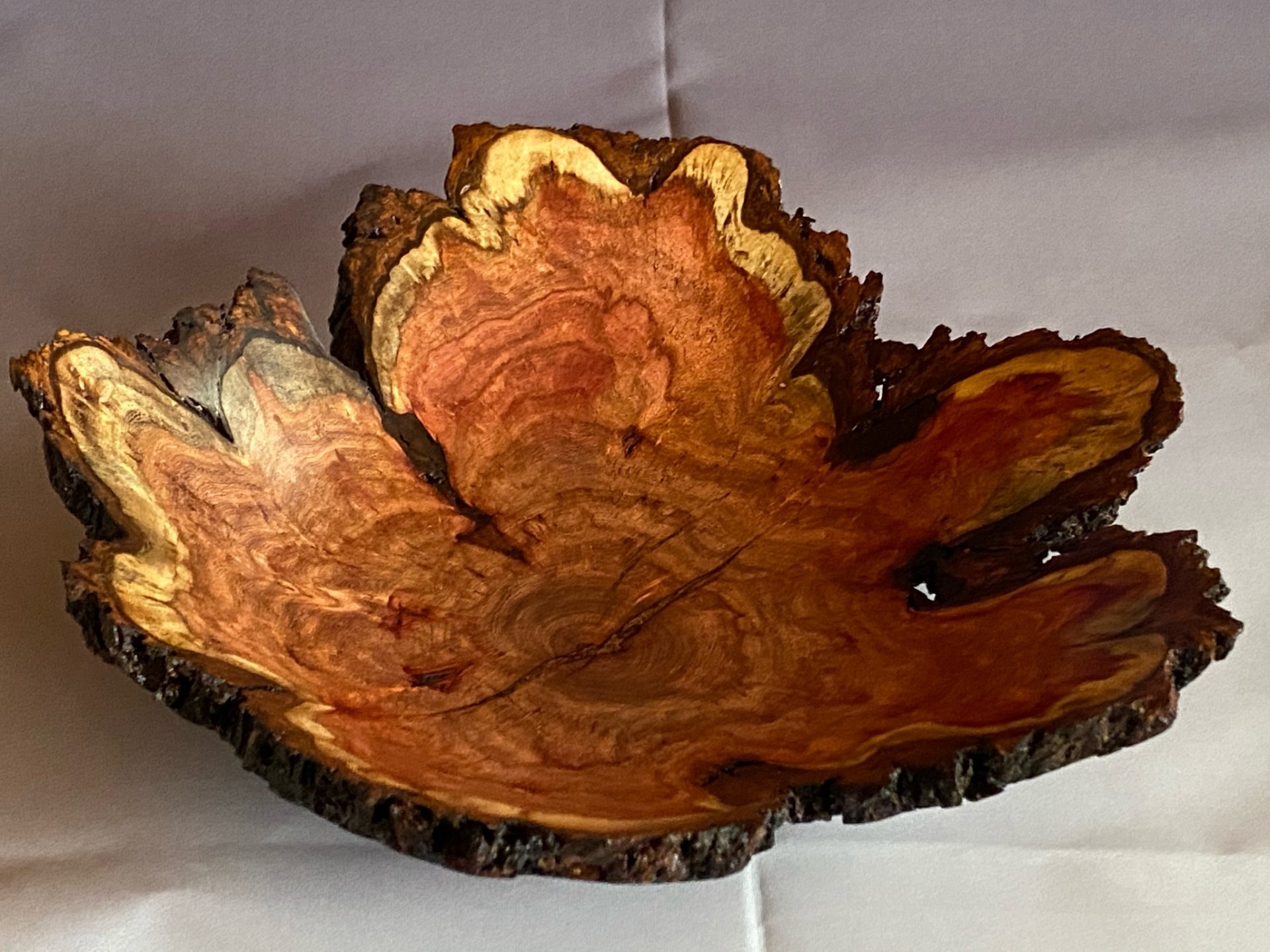 Mesquite Burl