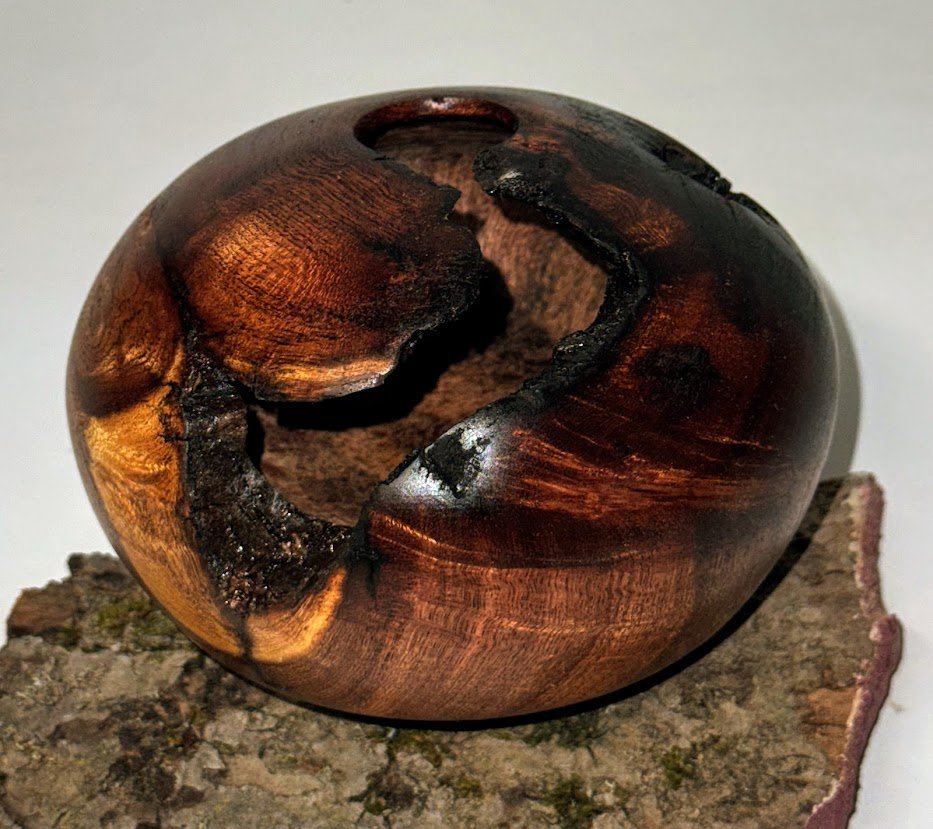 Mesquite hollow form