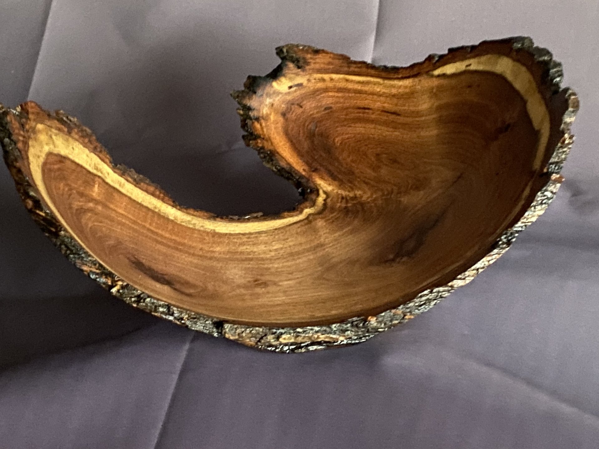Mesquite limb