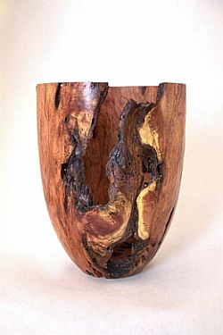 Mesquite mistletoe burl 14 x 12 inches