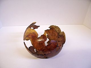 Mesquite mistletoe burl