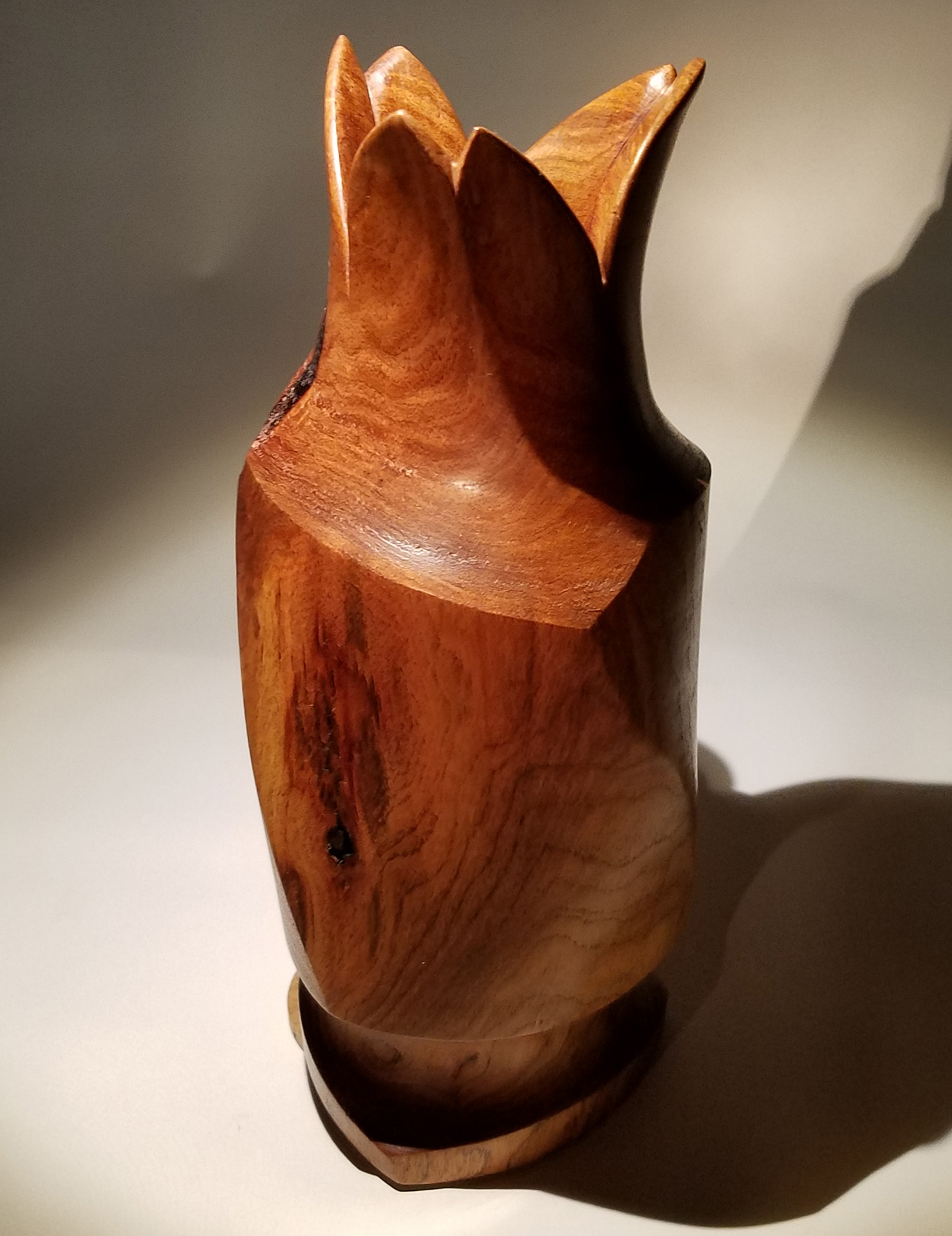 Mesquite Twist #2