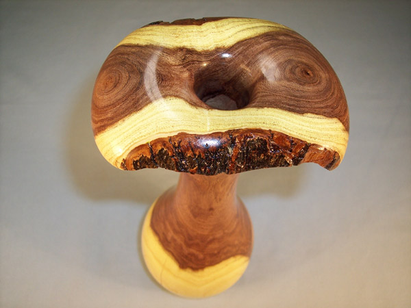 Mesquite Vase top