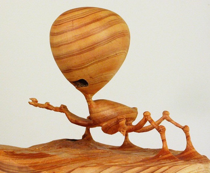 Middle Eastern Pine Bug