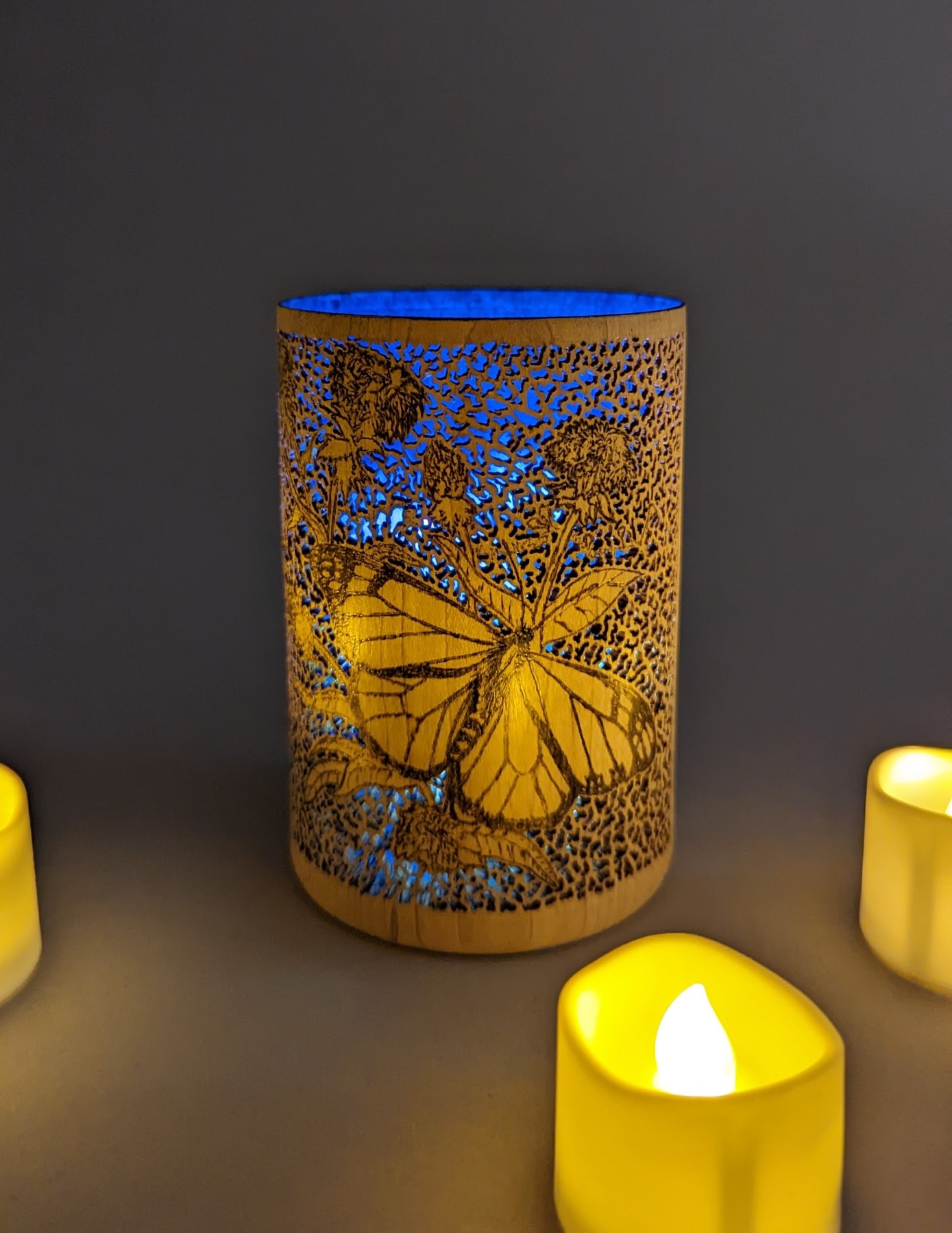 Milkweed Butterfly view 2