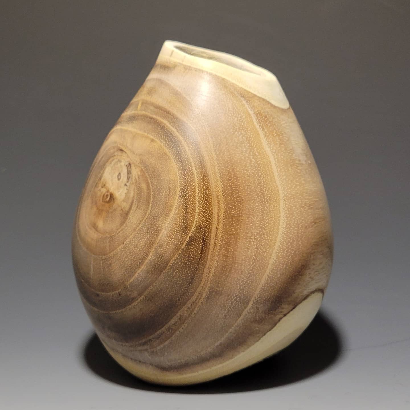 Mimosa (Double Natural Series)