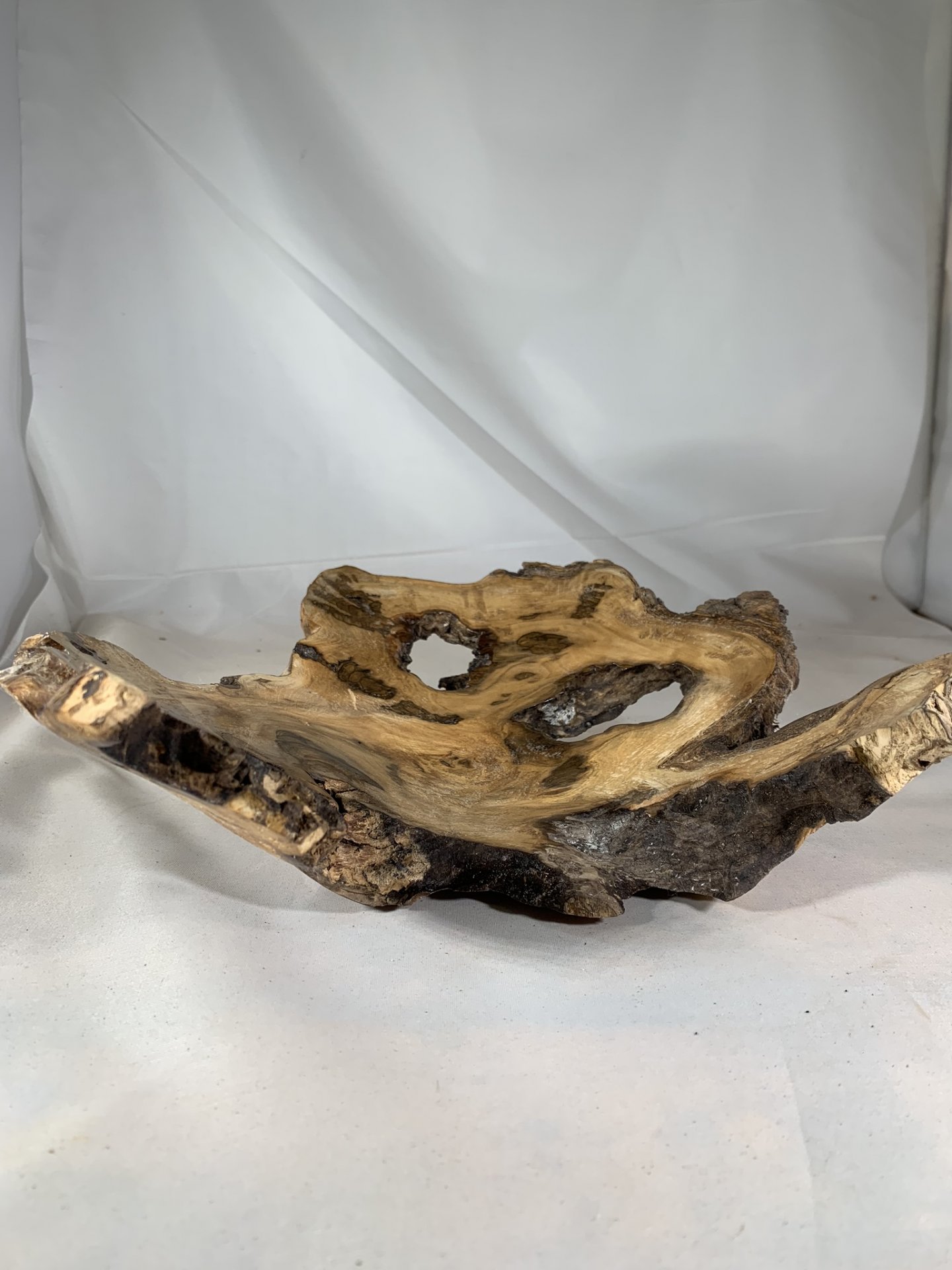 Mulberry Burl