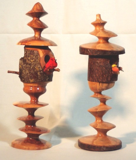 Multi-Axis Birdhouses