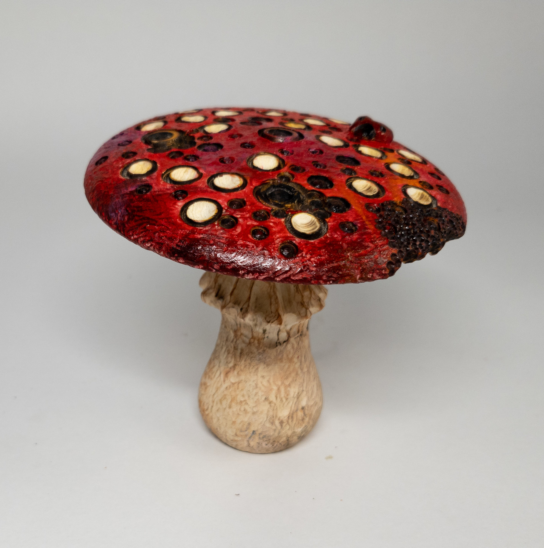 Mushroom box