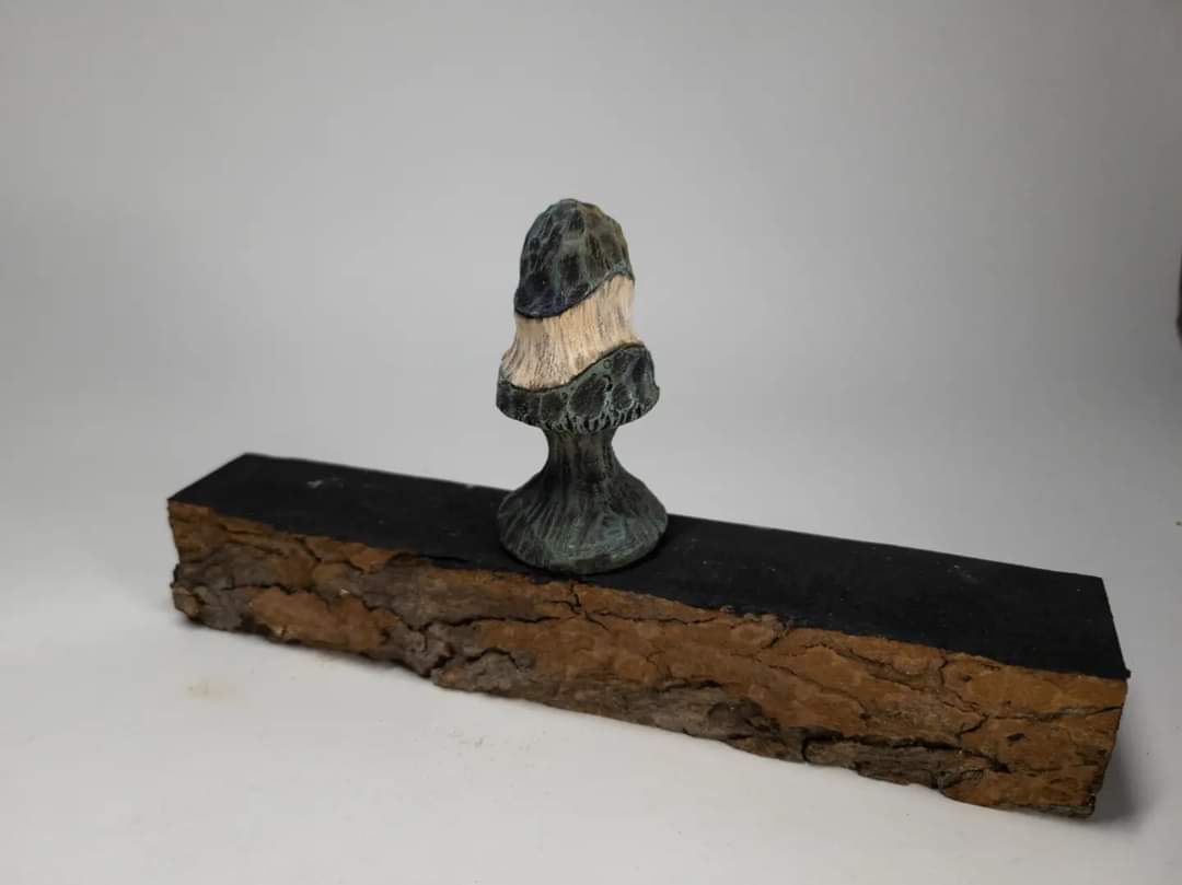 Mushroom