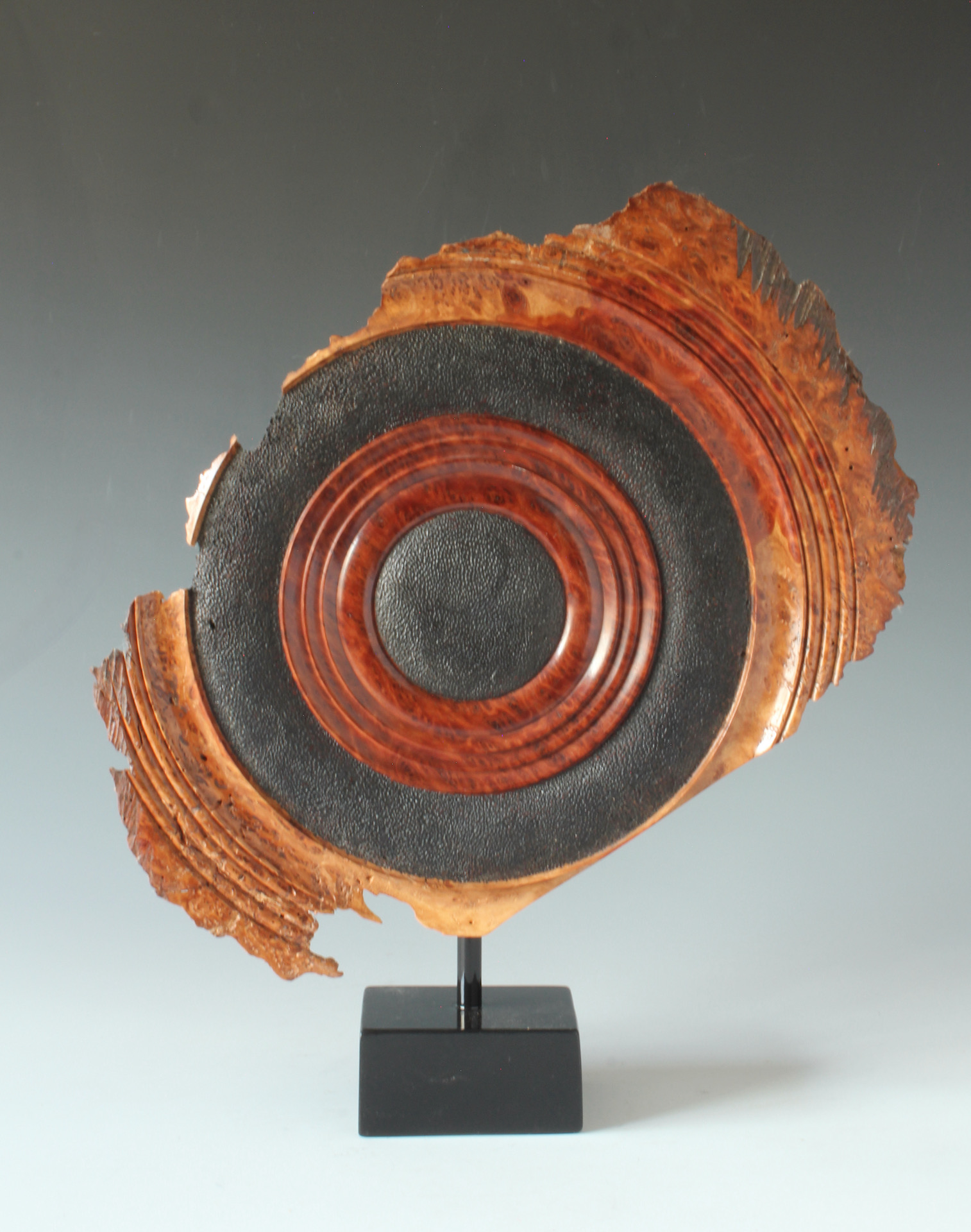 My Strength and My Shield