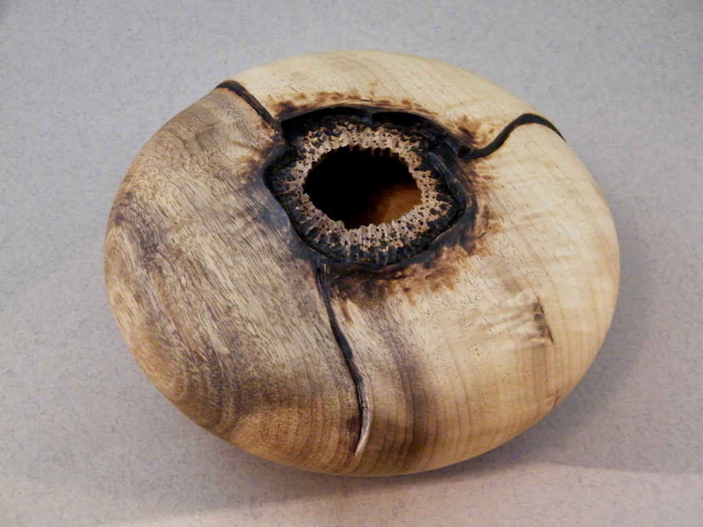 Myrtle hollow form (top)