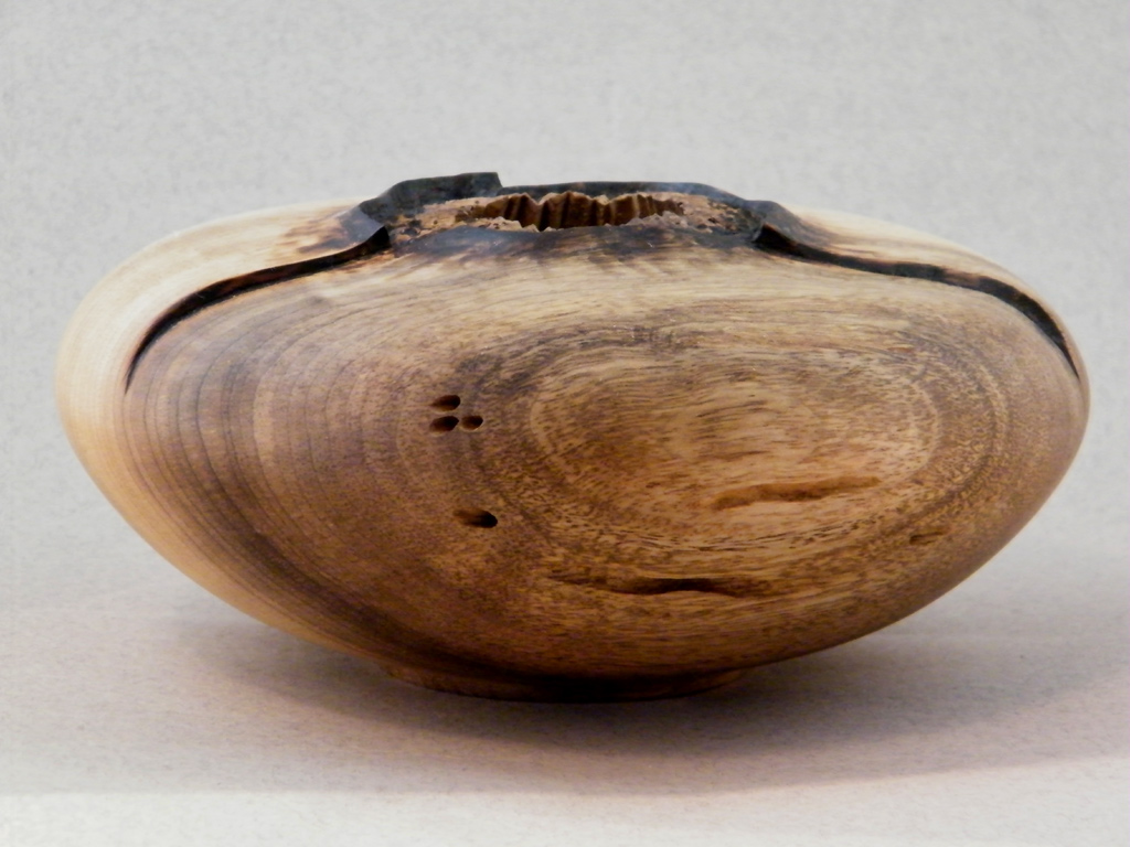 Myrtle hollow form