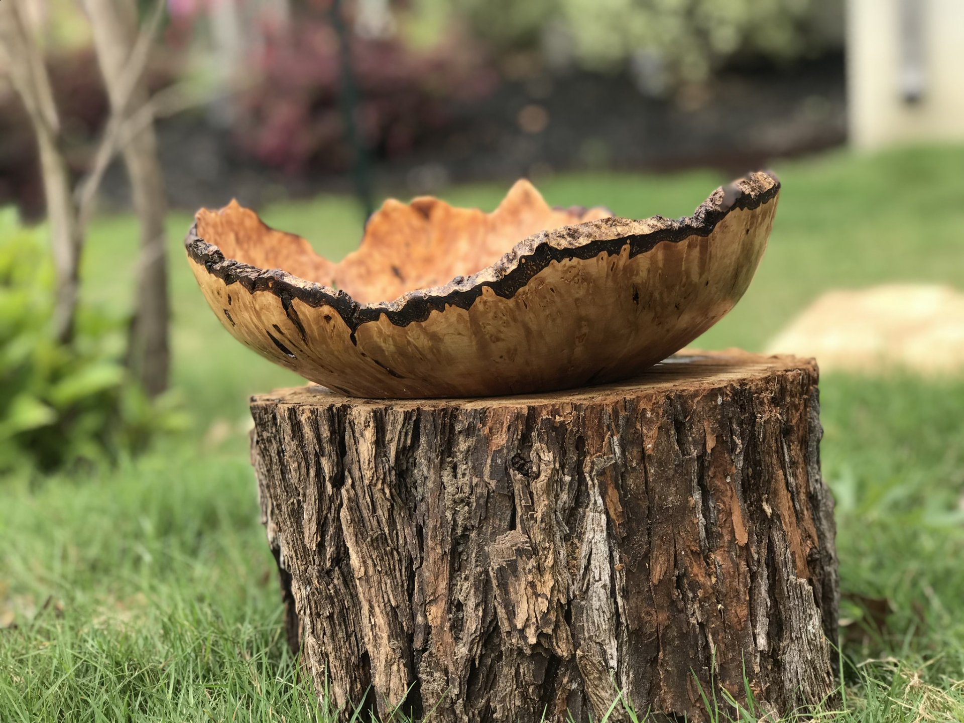 Natural Edge Maple Burl Bowl