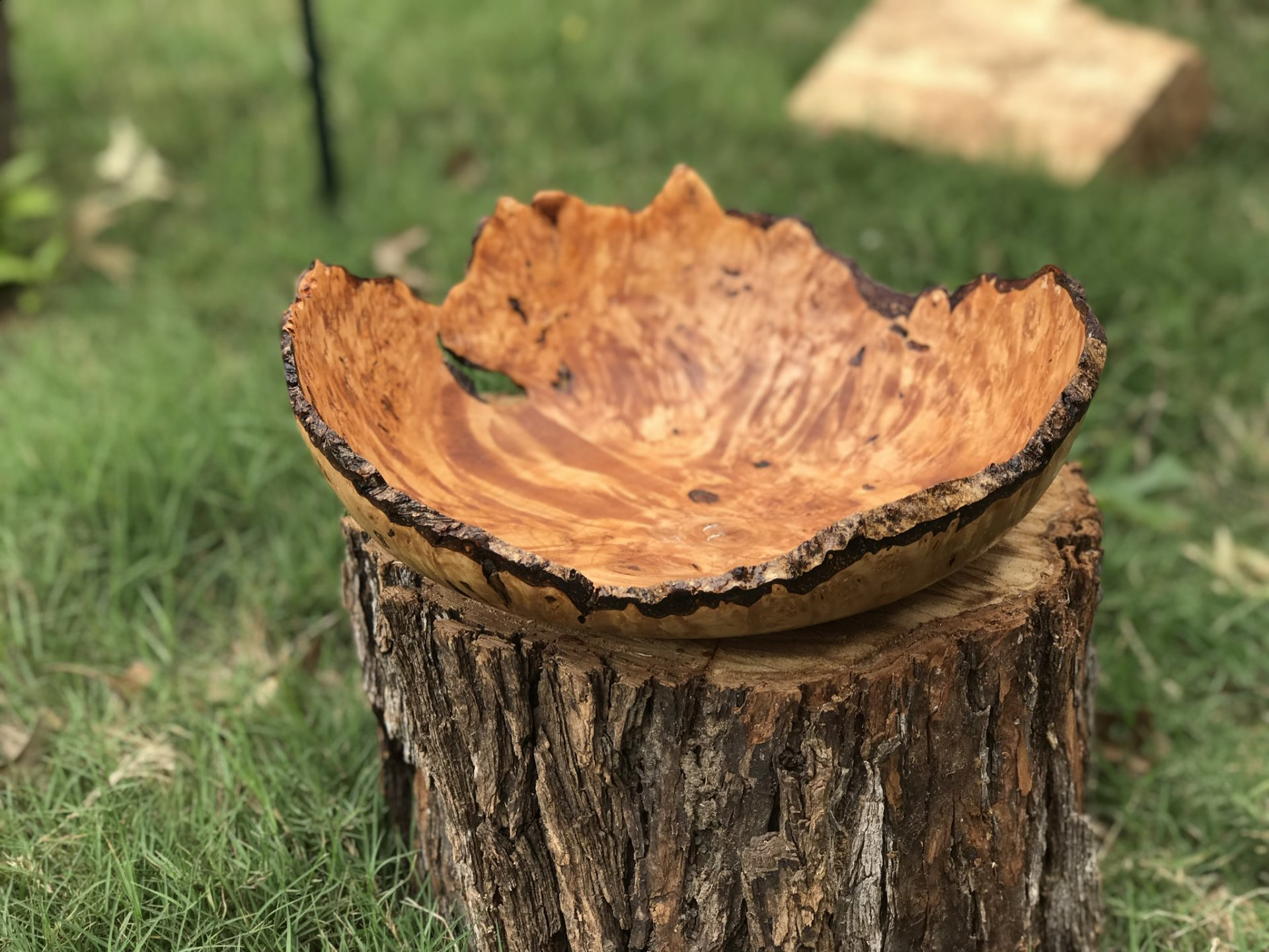 Natural Edge Maple Burl Bowl