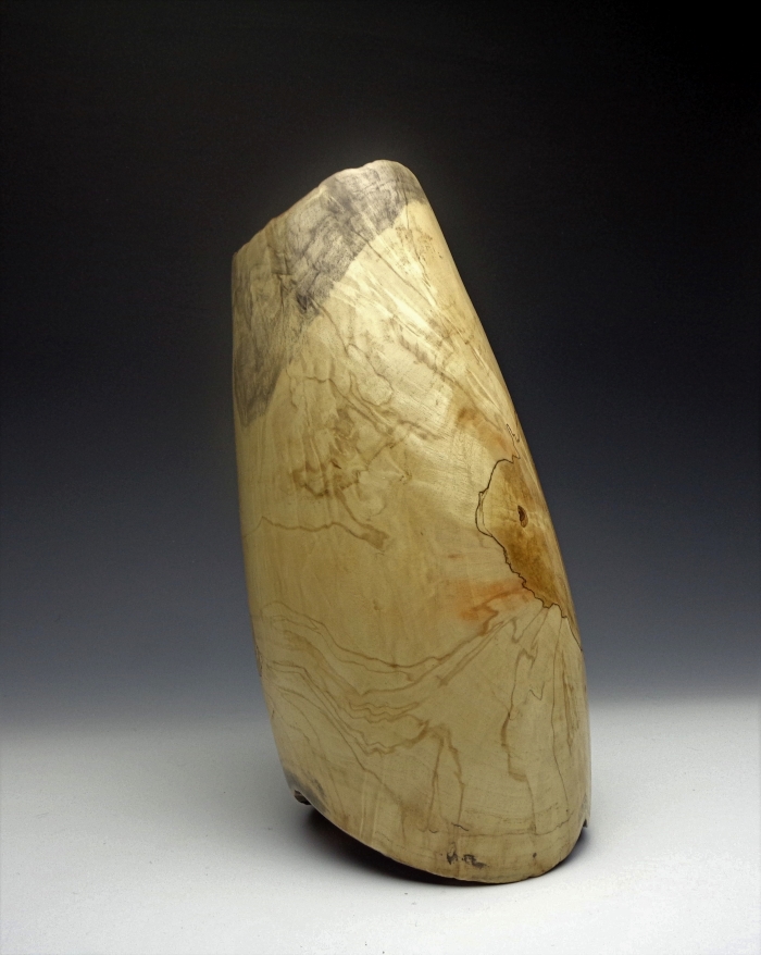 Nature's Reflections #1