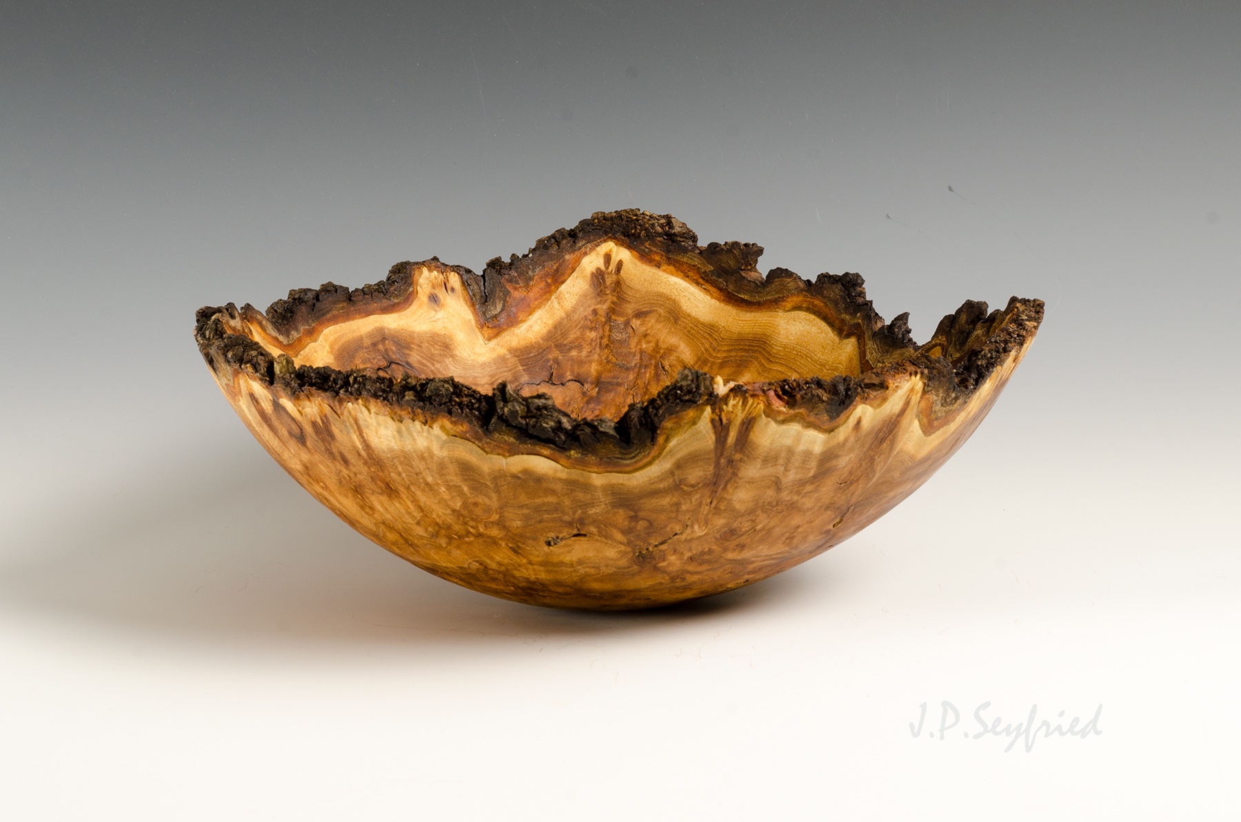 NE Elm Burl II
