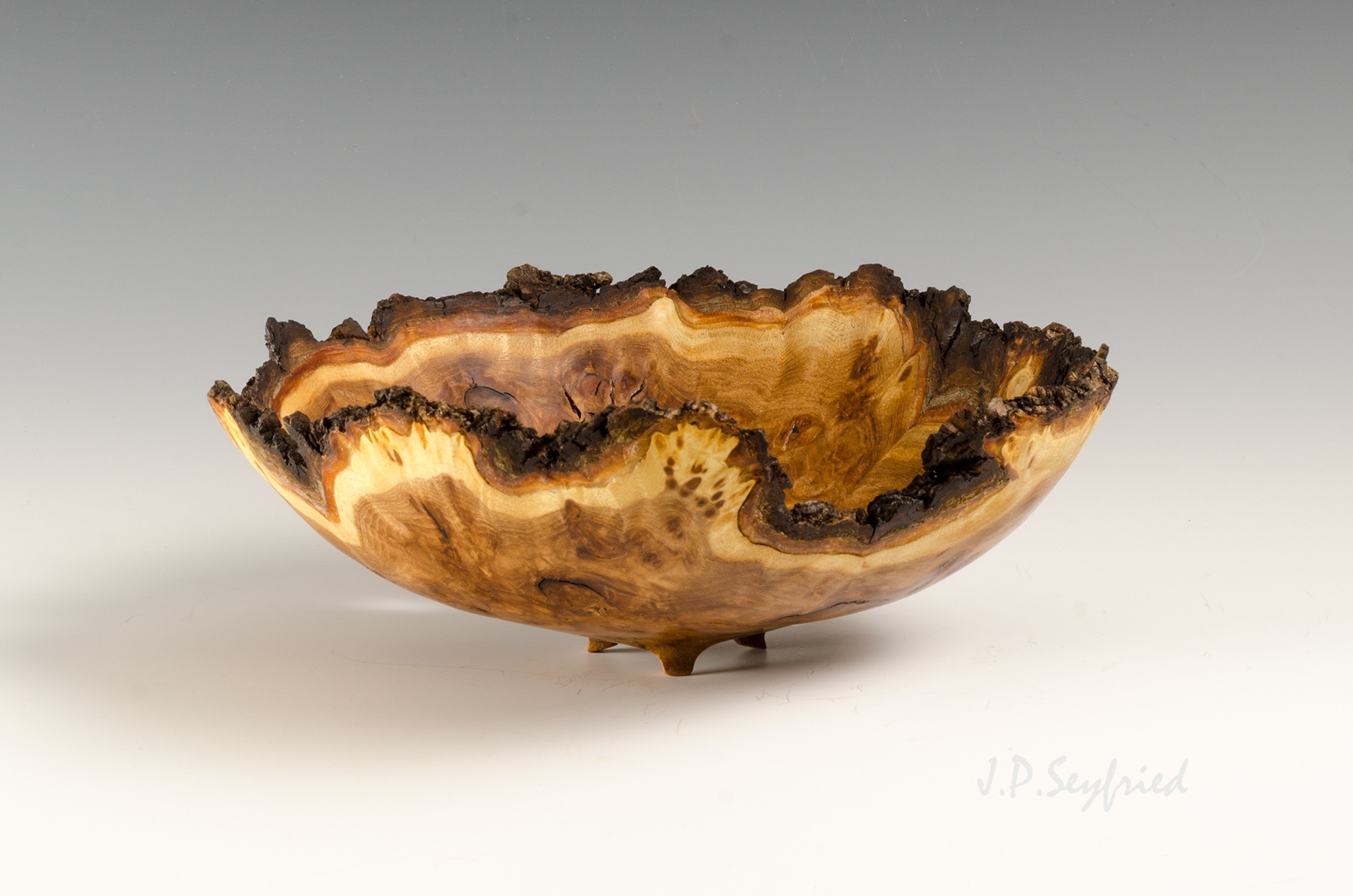 NE Elm Burl