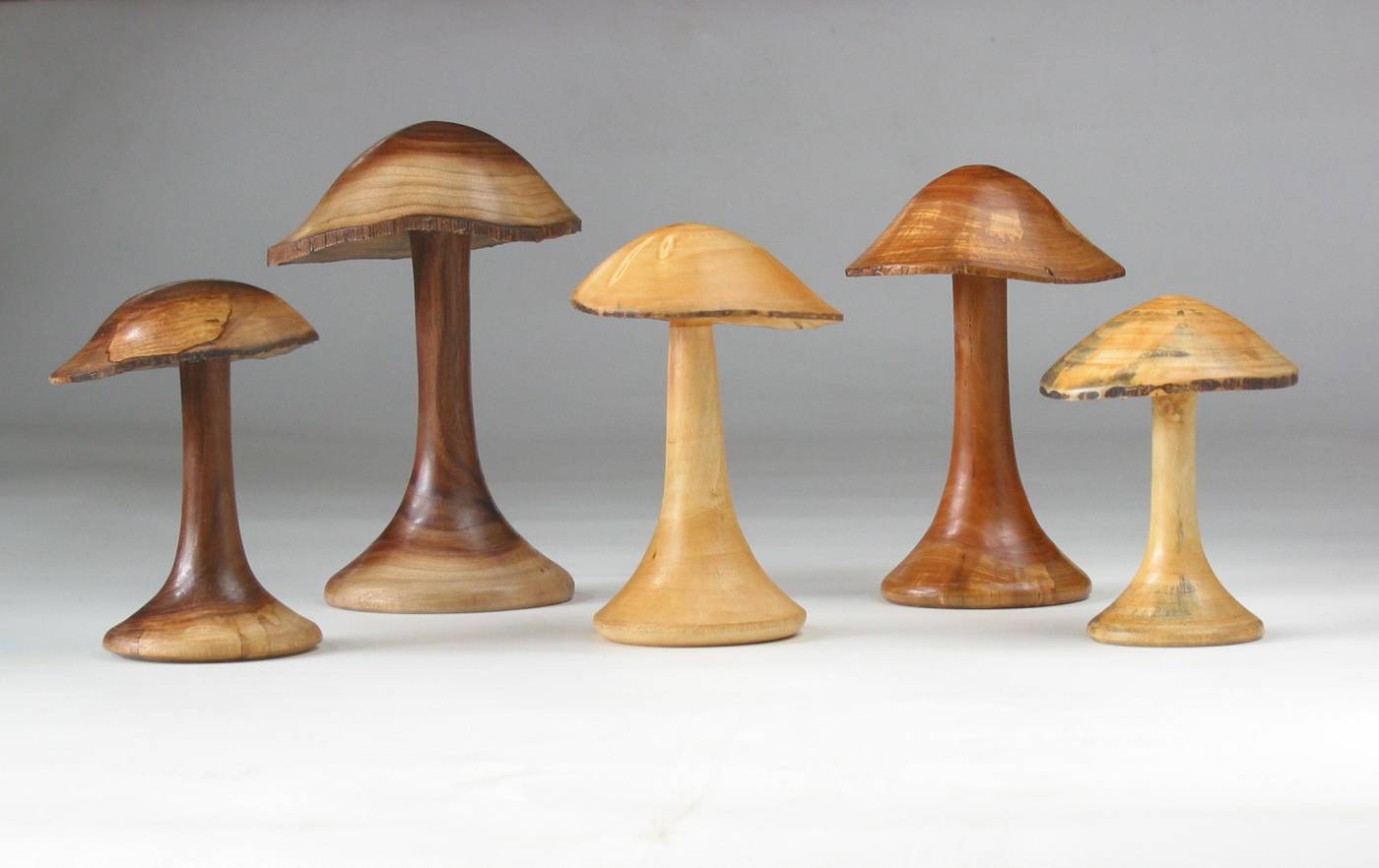 New Crop of Fungi