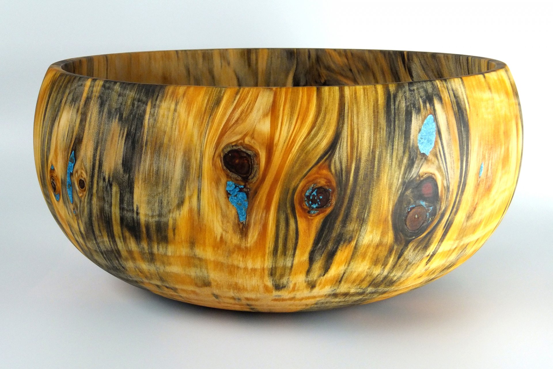 Norfolk Island Pine Calabash