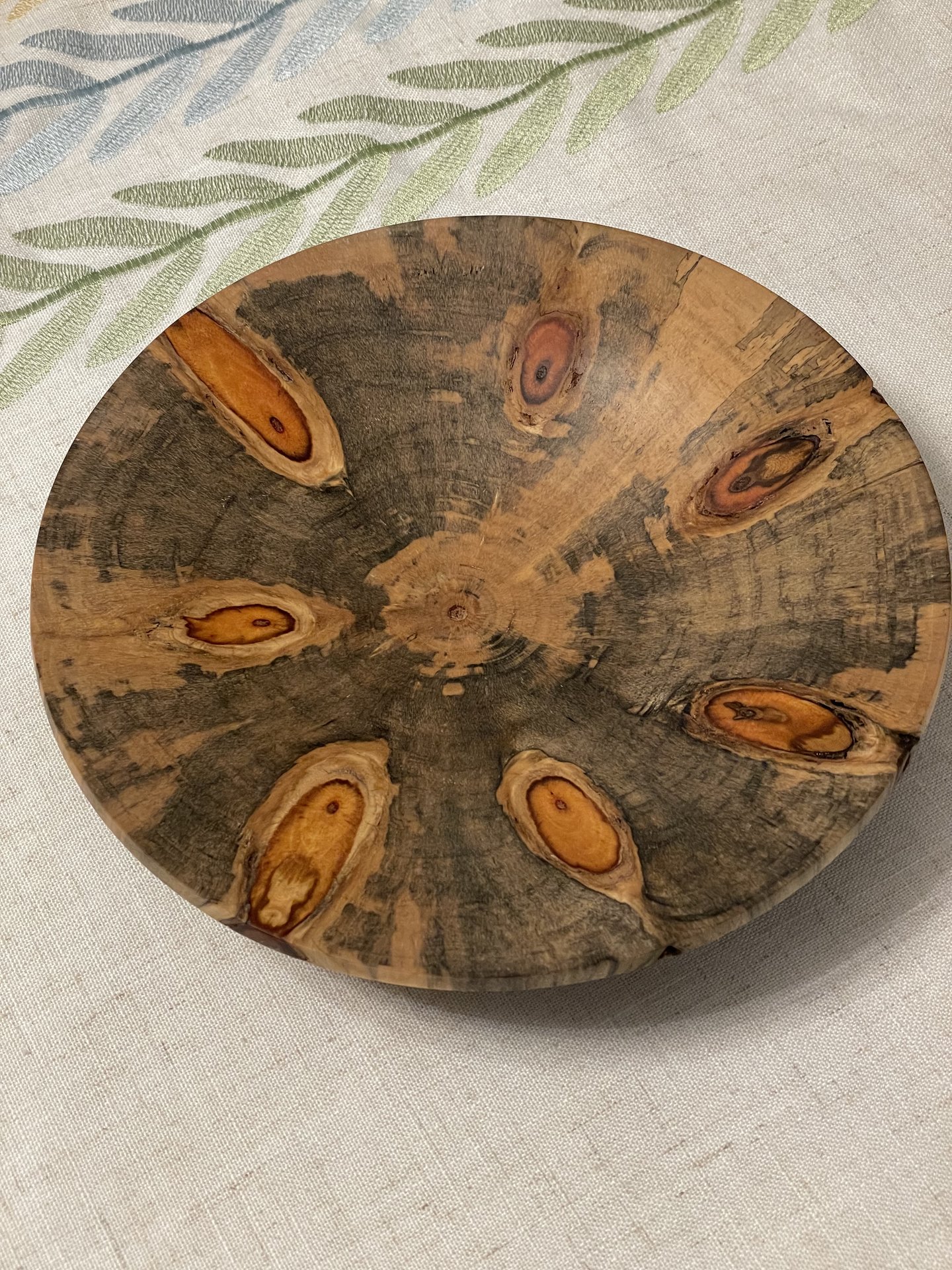 Norfolk Island Pine dish