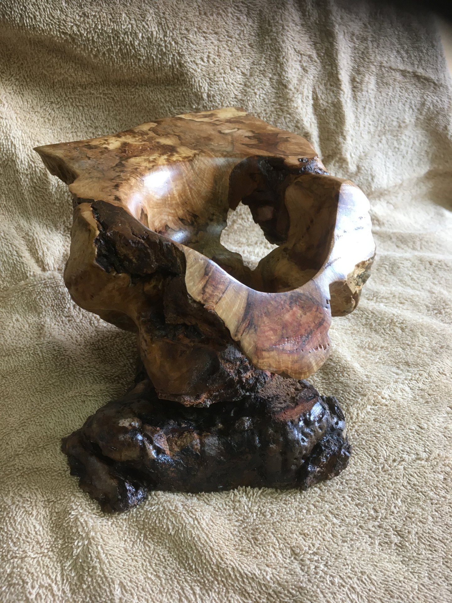 Oak burl