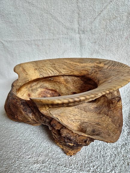 Oak Burl