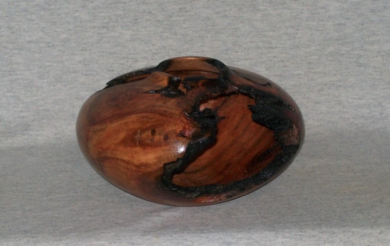 Oak root HF