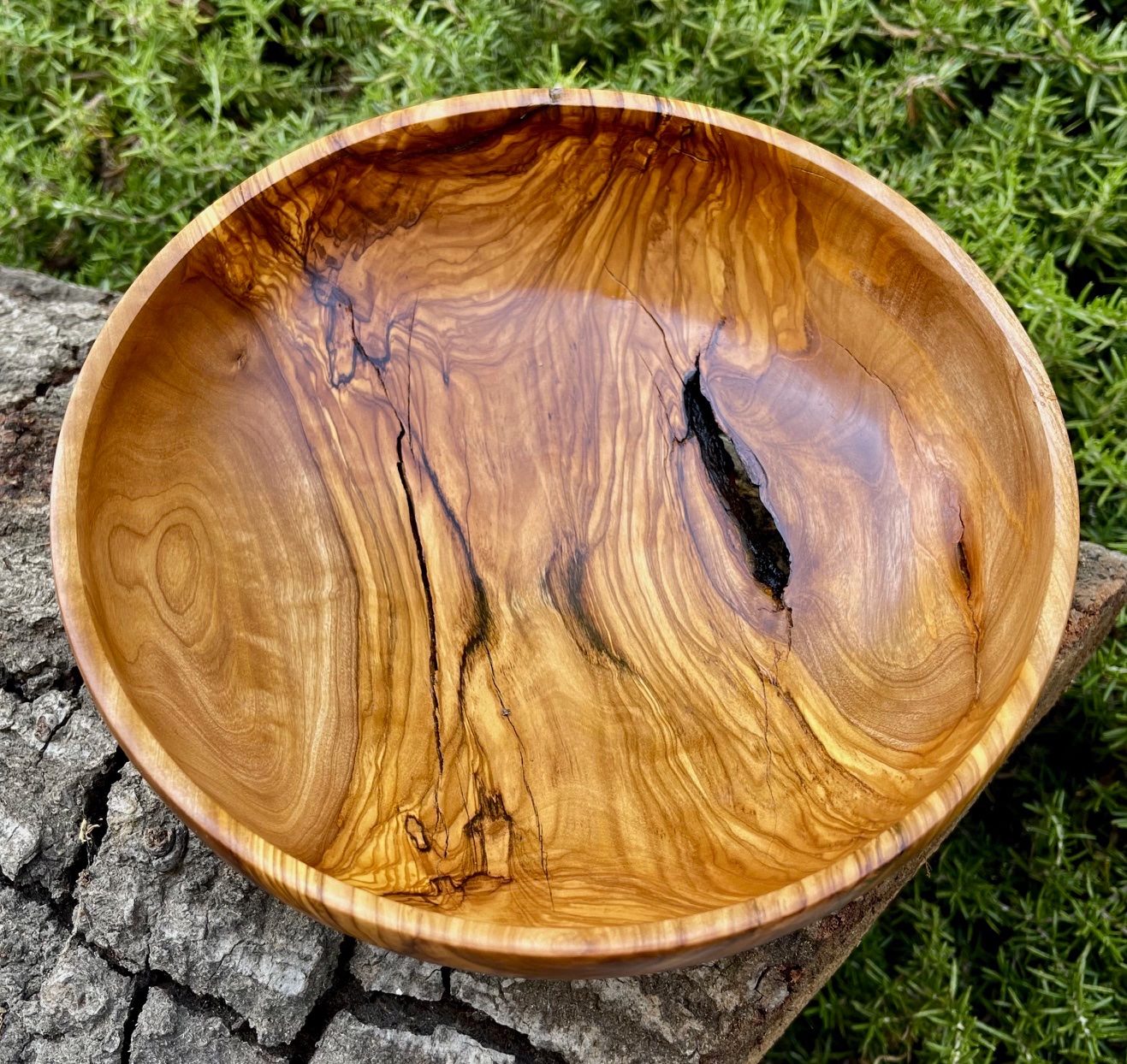 Olive with bark inclusion