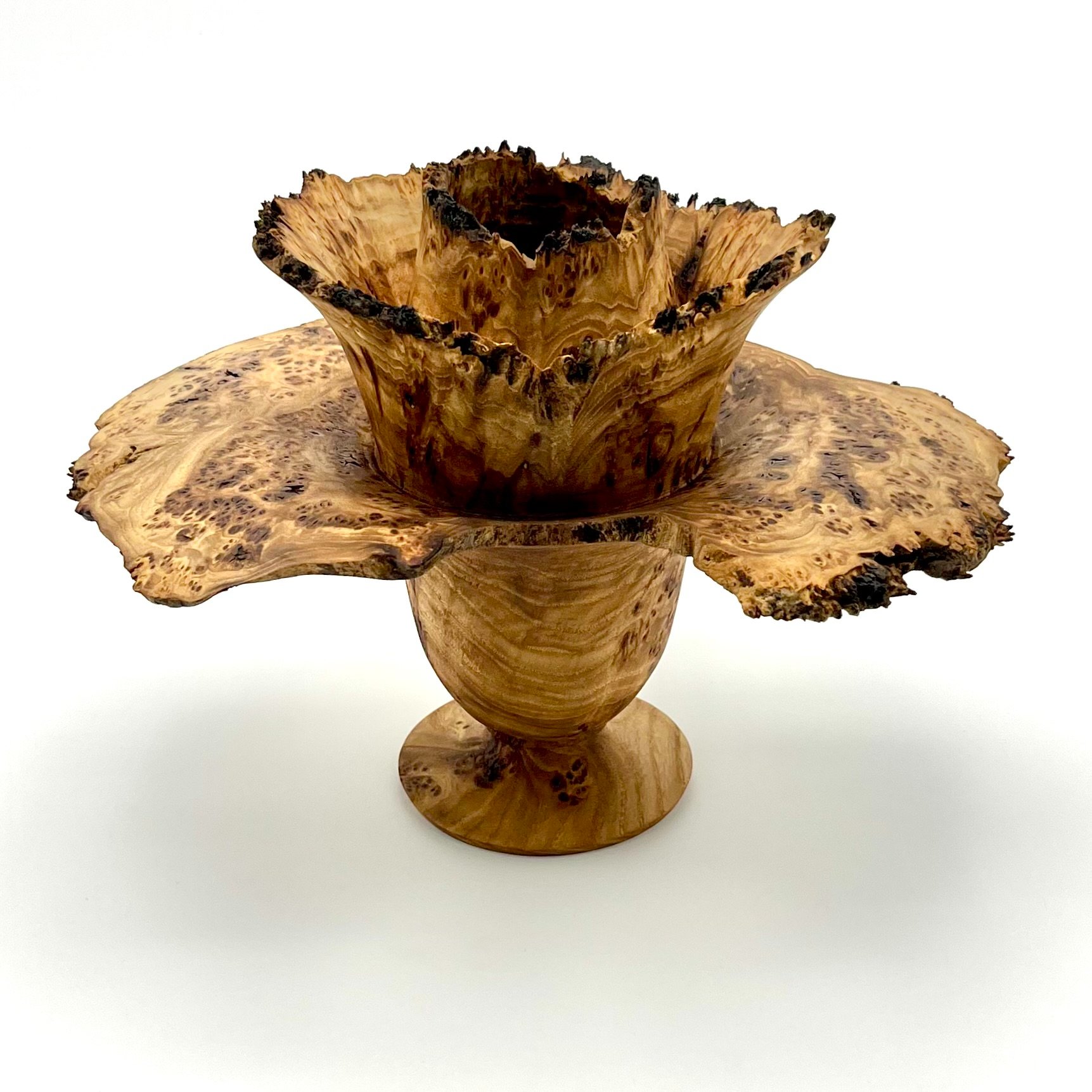 Petal Form Elm Burl